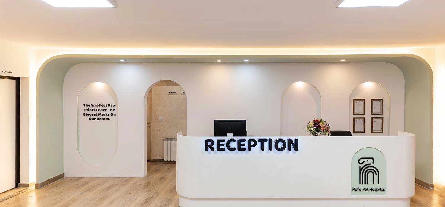 rafa pet hospital
