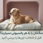 نگهداری سگ