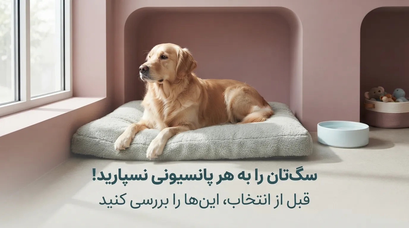 نگهداری سگ